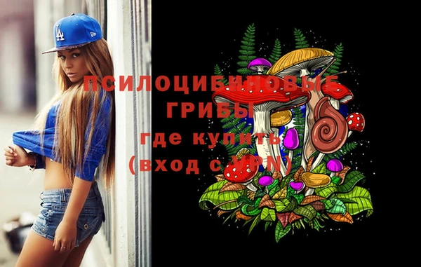 каннабис Алзамай