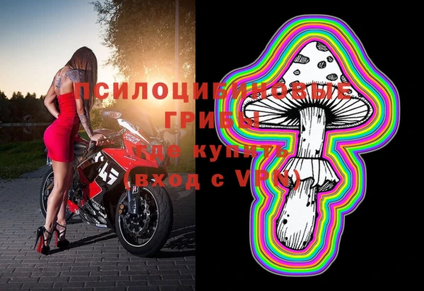mix Алексин