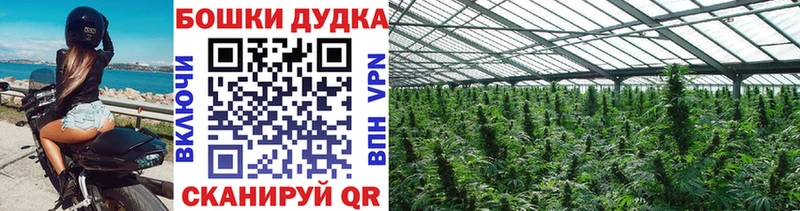 Марихуана MAZAR  Ладушкин 
